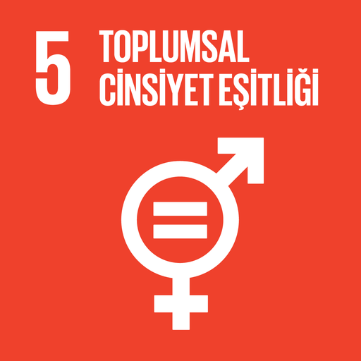 Sürdürülebilir Kalkınma Amacı 5: Toplumsal Cinsiyet Eşitliği